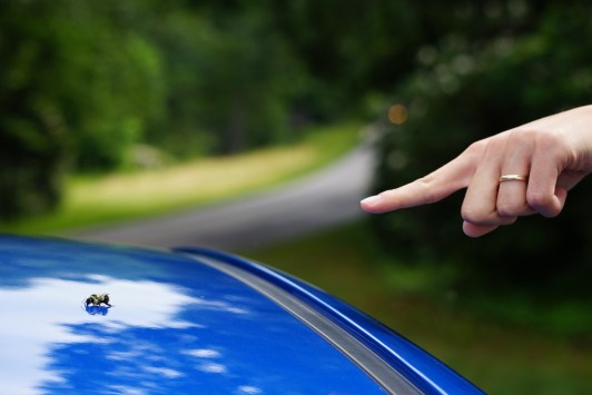 278E50E6-710F-48F4-9490-74E0CE17E582