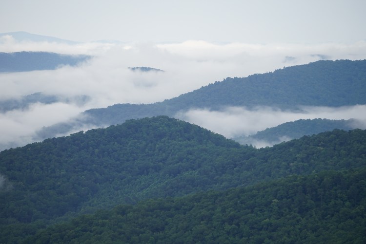 5282E2EE-C33F-46CA-9DD7-BDFDEBB70A34