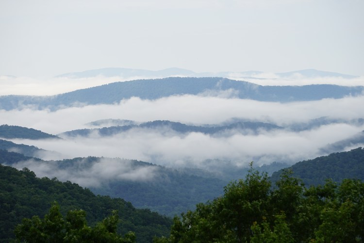 566678C3-F2C7-4E26-ABBC-833C3A091165