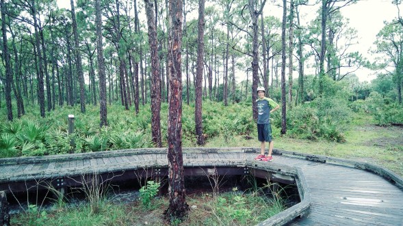 20180702_193341_Film3