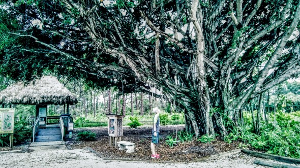 20180702_194453_Film3