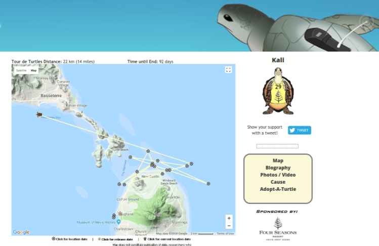 Screenshot 2018-08-01 at 6.07.07 PM - Edited